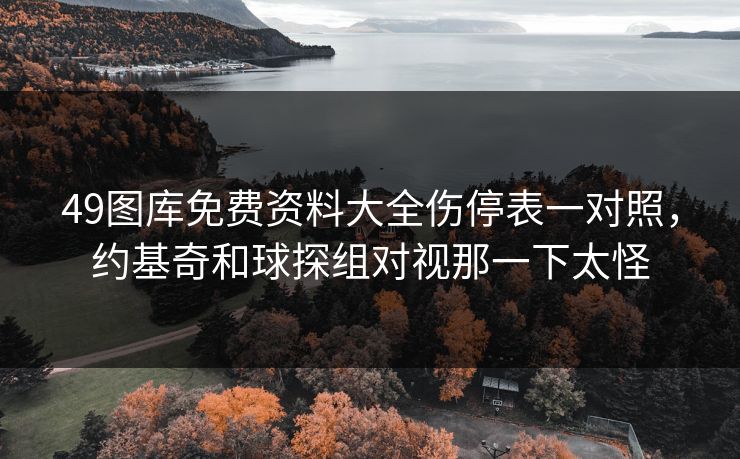 49图库免费资料大全伤停表一对照，约基奇和球探组对视那一下太怪