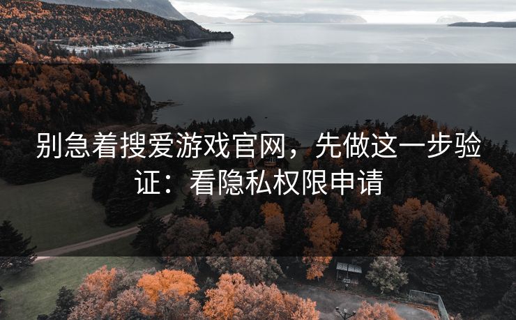别急着搜爱游戏官网，先做这一步验证：看隐私权限申请