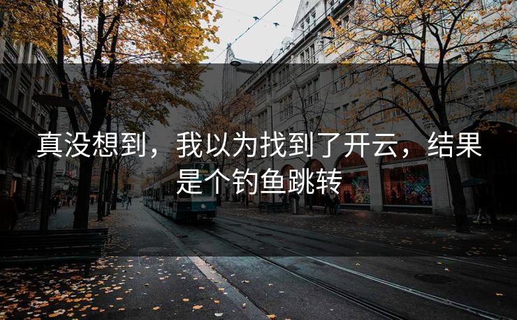 真没想到，我以为找到了开云，结果是个钓鱼跳转